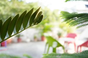 VacationBuddy Blissful Escape in Jaipur