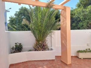 Piscina, wifi, patio con vistas