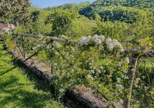 Chambre Double - Vue sur Parc