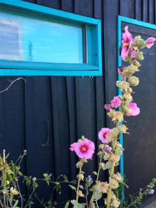 Maisons de vacances Villa 3 Mats : photos des chambres