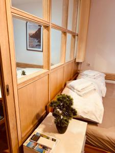 Rex apartment Piran - Free parking