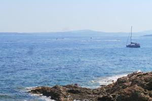 Coryphène pied dans l eau