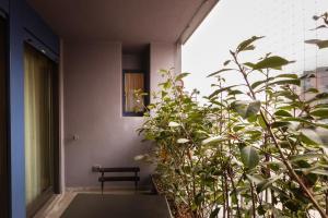 Bright two bedrooms apartment with terrace Zanuso - Mirable PM