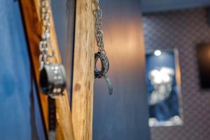 Appartements Love Room L'Aixtase - Oasis Romantique a Aix-les-Bains : photos des chambres