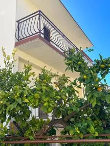 Niko Apartments - Donja Vala