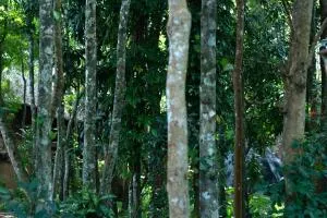 Mystery Maze Resort - Begūr