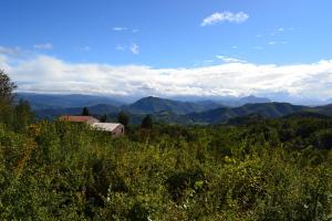 Ca Inua - arte, bosco, ospitalità