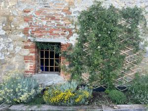 Ca Inua - arte, bosco, ospitalità