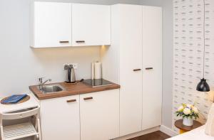 Standard Double Room with Kitchenette room in Apartamenty Paliki