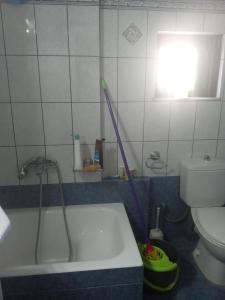 Mountain and Lake view apartment