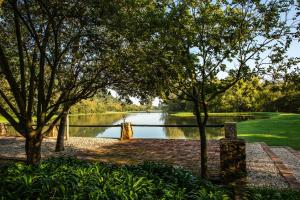 Valley of the Rainbow Fly Fishing Estate