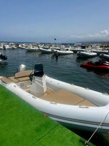 Villa Flore - Penthouse - apartment in villa