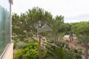 Appartements AS20399 - P2 centre ville avec parking privatif dans une residence a 150m de la plage : Appartement - Vue sur Jardin