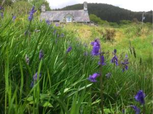Tyn Y Simdde - Secluded Mountain Stay - Stunning Views of Eryri