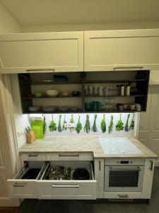 V centru Znojma s vybavením pro děti a garáží pro kola