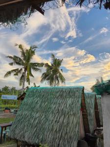 Nirvana resort & dive centre - Moalboal