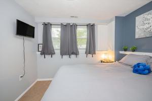 1Bedroom Newly Renovated Basement Suite with Parking