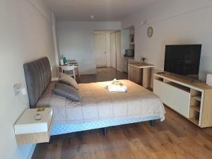 Belgrano amplio luminoso, cochera, WiFi, cerca River y Subte, 309