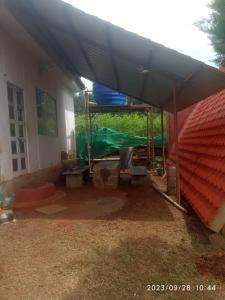 Mango tree Hut house