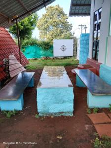 Mango tree Hut house