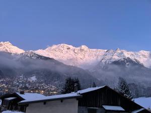 Appartements Chalet Cristal I : photos des chambres