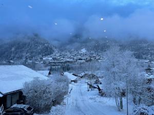 Appartements Chalet Cristal I : photos des chambres