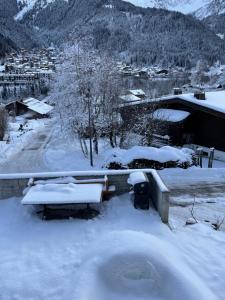 Appartements Chalet Cristal I : photos des chambres