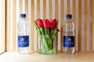 Kensignton Garden Studio - 7