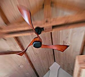 Studio Nok bij Den Bosch