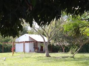 Mainumby Iberá Full