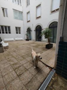 Appartements Appartement 4 chambres avec terrasse : photos des chambres