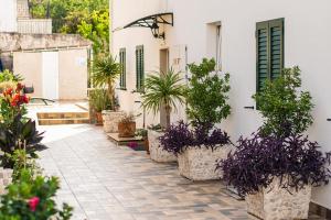 La Perla Apartments 2