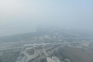 Lux Paradise By Aurum