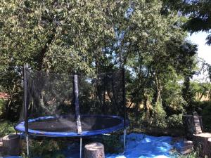 Maisons de vacances Gite Les Sables calme proche Zoo de Beauval & Chateaux, avec piscine : photos des chambres