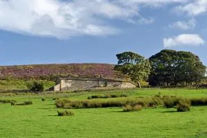 Higher Scarcliffe at Broughton Sanctuary - Carleton