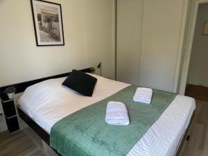 Appartements Le Montesquieu, Appartement 2 a 4 personnes, Garage Prive : photos des chambres