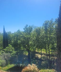 B&B / Chambres d'hotes Le mas Les Salamandres : photos des chambres