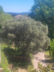 B&B / Chambres d'hotes Le mas Les Salamandres : photos des chambres