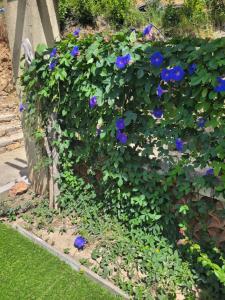 B&B / Chambres d'hotes Le mas Les Salamandres : photos des chambres