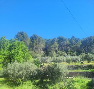 B&B / Chambres d'hotes Le mas Les Salamandres : photos des chambres