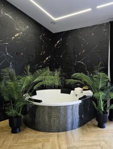 Karališkių SPA Self check in appartment with Jacuzzi