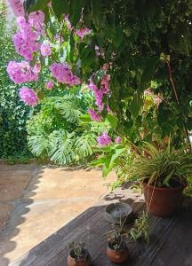 Chalet Las Nenas B&B