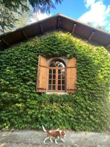 Beautiful stone house with garden - Villa il Poggio