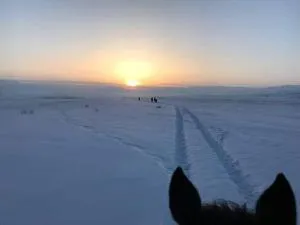 Horse riding&Kyzart Homestay - Verkhnyaya Alaarcha