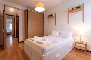 Botanic Jungle at Porto Downtown