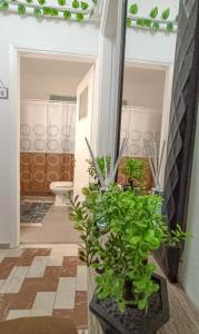 Quick & Cheap Rental City Center