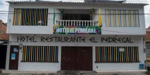 Hotel Pedregal - Florida