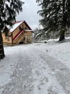 У Мироняка коло лісу - Oslavy Charne