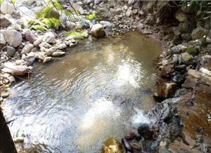 finca del Río Copan