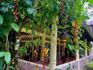 finca del Río Copan